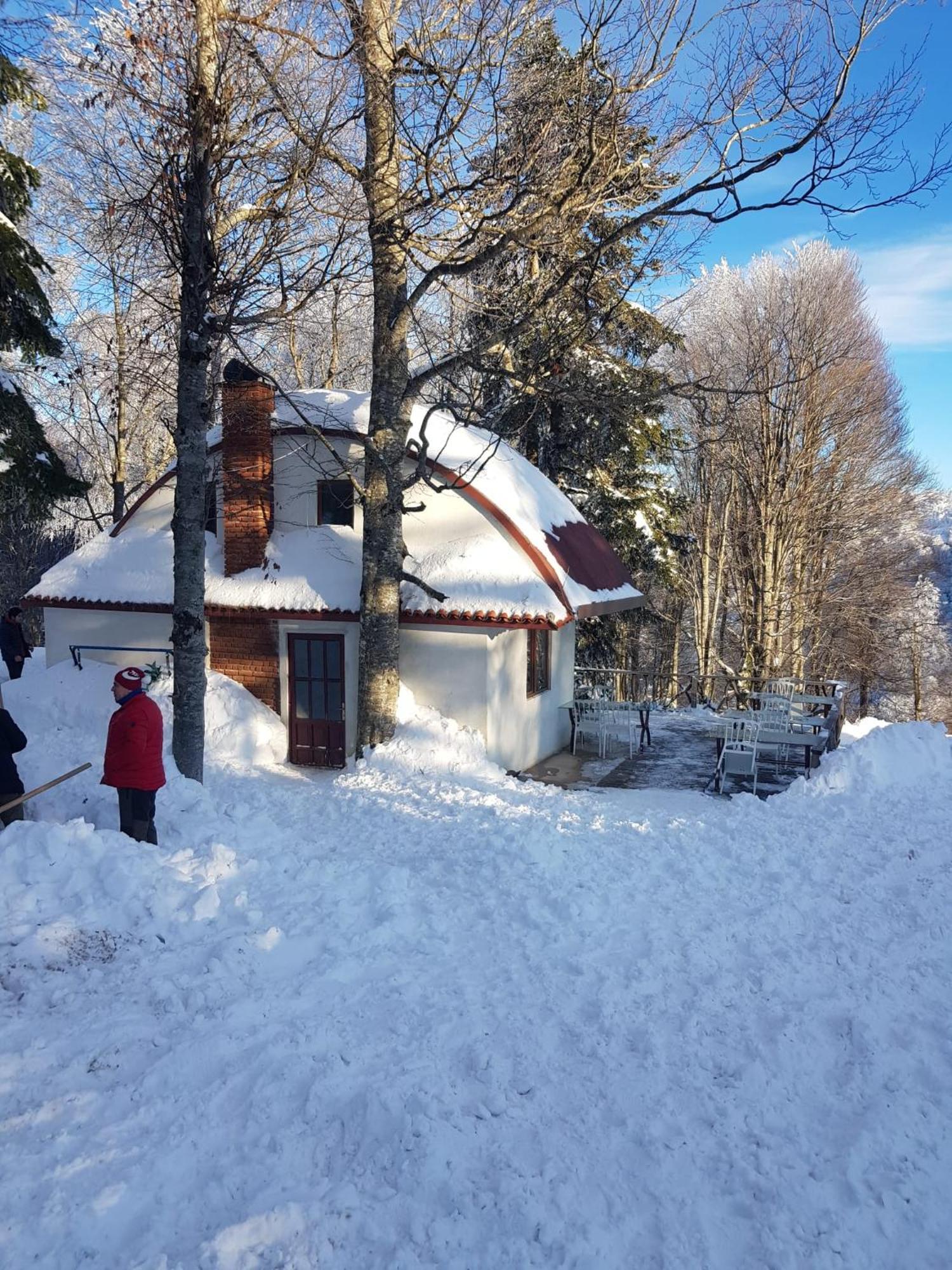 Teona Kartepe Bungalov Dış mekan fotoğraf